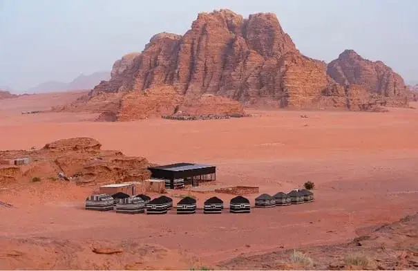 المشاركين في برنامج “أردننا جنة” منذ بداية العام وحتى تموز الحالي 79,017 مشاركًا،